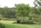 Rossmoyneresidential-landscaping-40.jpg; ?>