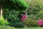 Rossmoyneresidential-landscaping-74.jpg; ?>